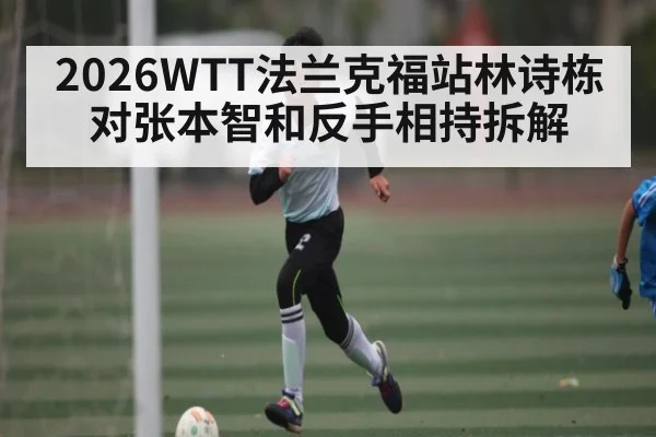 2026WTT法兰克福站林诗栋对张本智和反手相持拆解
